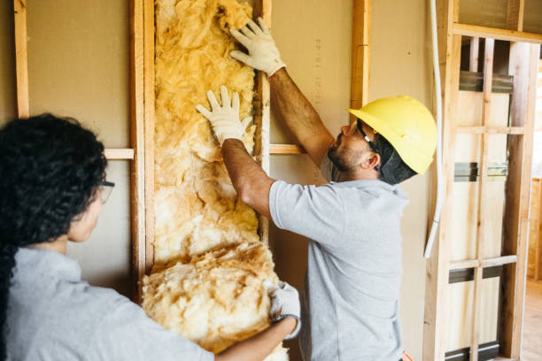 Best Soundproof Insulation  in Morris, IL