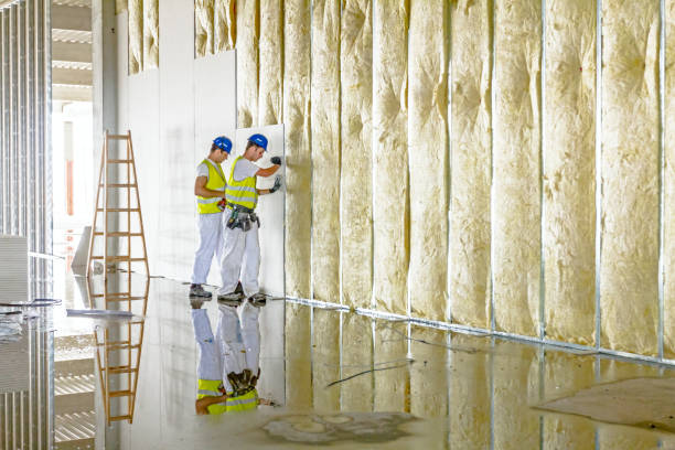 Types of Insulation We Offer in Morris, IL